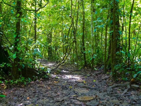 Parque Nacional Corcovado Península Osa Costa Rica — Foto de Stock