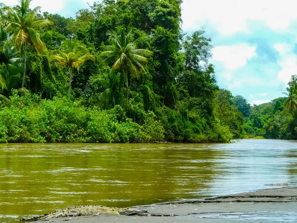 Parque Nacional Corcovado Península Osa Costa Rica — Foto de Stock