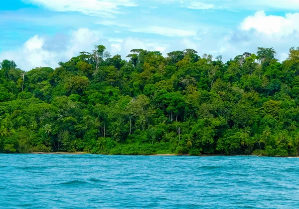 Park Narodowy Corcovado Półwysep Osa Kostaryka — Zdjęcie stockowe