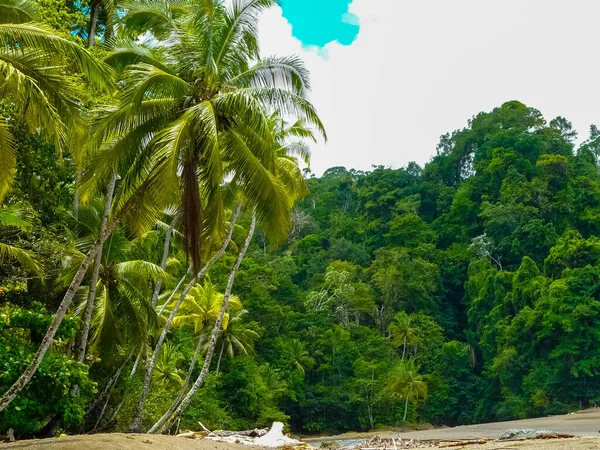 Parque Nacional Corcovado Península Osa Costa Rica — Foto de Stock