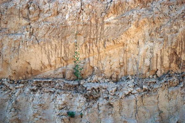 Clay quarry of yellow clay — Stock Photo, Image