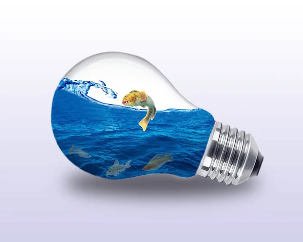 Electric lamp aquarium — Stock Photo, Image
