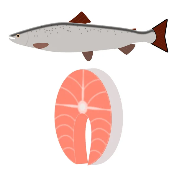 Lachsfisch Und Geschnittenes Stück Lachsfleisch Auf Weißem Hintergrund — Stockvektor