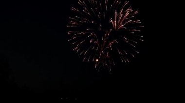 Karanlık gökyüzünde Festival havai fişek