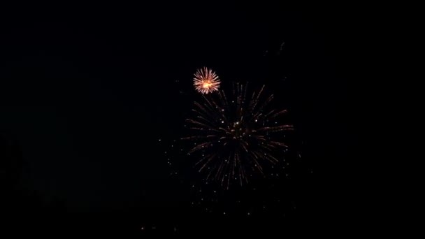 Fogos de artifício festivos no céu escuro — Vídeo de Stock
