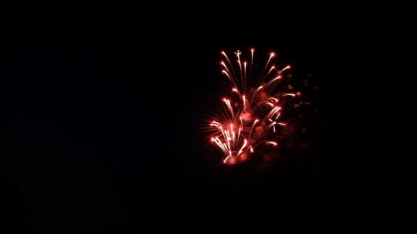 Праздничный фейерверк в темном небе — стоковое видео