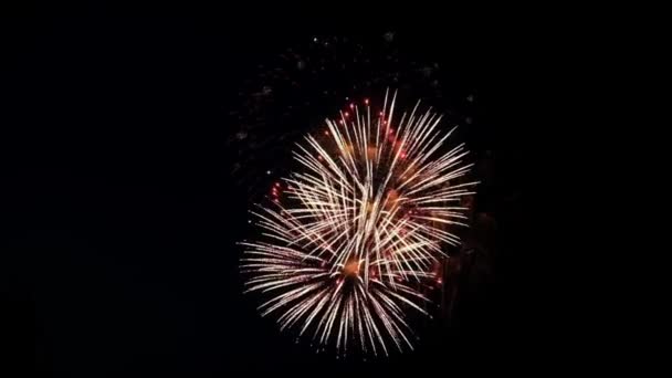 Fuochi d'artificio festivi nel cielo buio — Video Stock