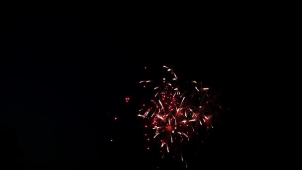 Uroczysty pokaz sztucznych ogni w niebo ciemne — Wideo stockowe