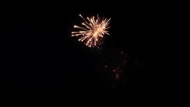 Festliches Feuerwerk am dunklen Himmel — Stockvideo