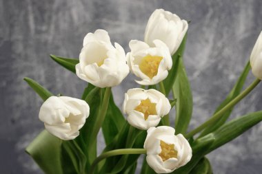 Kartpostal Gri arkaplanda yedi beyaz lale.