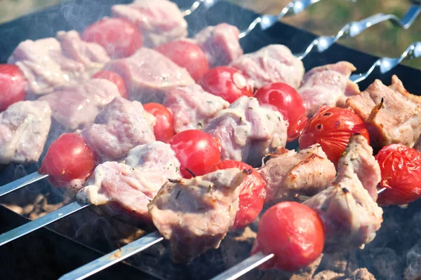 Spiedino Alla Griglia Con Carne Verdure Natura Spiedini Sulla Griglia — Foto Stock