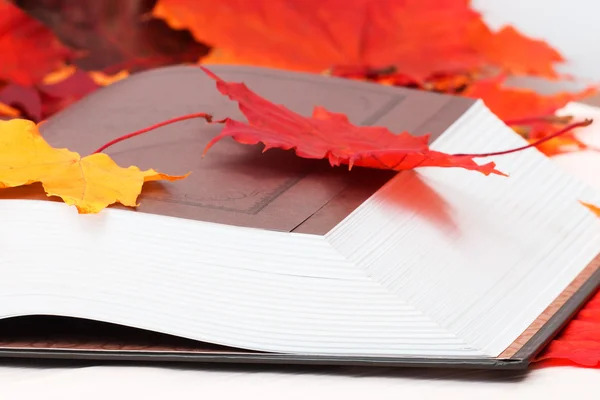 Livro aberto com folhas de bordo — Fotografia de Stock