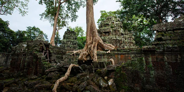 Templos Angkor Wat Donde Selva Cubierto Parcialmente Las Ruinas Cerca —  Fotos de Stock