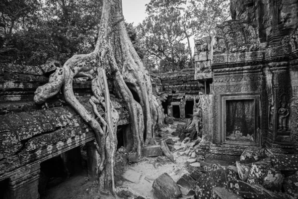 Templos Angkor Wat Onde Selva Cobriu Parcialmente Ruínas Perto Cidade — Fotografia de Stock