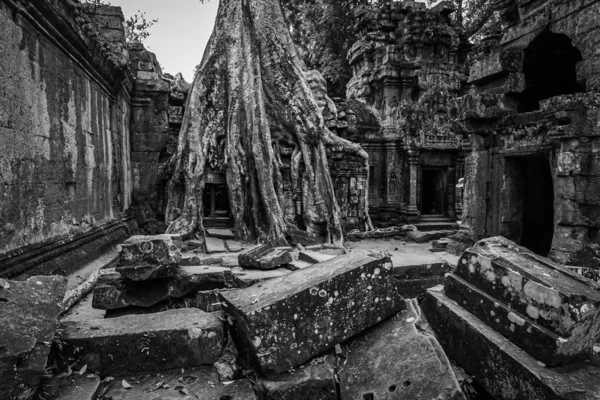 Templos Angkor Wat Donde Selva Cubierto Parcialmente Las Ruinas Cerca —  Fotos de Stock