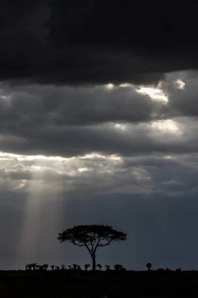 Sinar Terakhir Sinar Matahari Masih Datang Melalui Awan Sebelum Badai — Stok Foto
