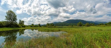 Slovenya 'nın güneybatısında yer alan İç Carniola' da İlkbaharda Cerknica Gölü Panoraması.