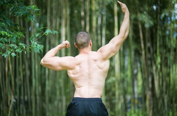 Baksidan av fit man — Stockfoto