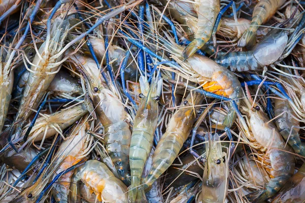 taze nehir karides yumurta deniz ürünleri pazarında bir sürü