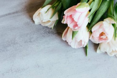 pembe bir arka plan üzerinde güzel laleler