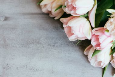 pembe bir arka plan üzerinde güzel laleler