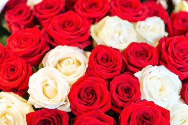 Beyaz ve kırmızı güllerden oluşan buket yakında. Çiçekli güller. Romantik bir kavram. Arkaplan yatay biçimi.