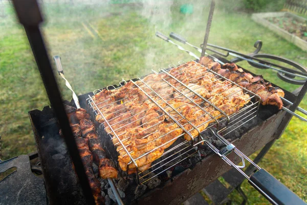 Grilled chicken wings and legs on grill. Pieces of meat are fried on skewers. Barbecue on grill in smoke. Recreation and outdoor party concept. Close-up of barbecue. Cooking meat. Traditional food.