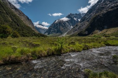 Milford Sound, Yeni Zelanda - 13 Ocak 2020: Milford Sound 'a ulaşmadan önce kırsal dağlar