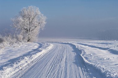 Yollarda ve tarlalarda kış karı