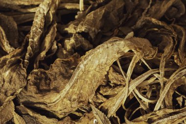 Kahverengi orman arka planında düşen sarı sonbahar yaprakları