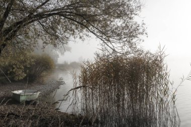 Sonbaharda gölü olan güzel renkli ağaçlar, manzara fotoğrafları.