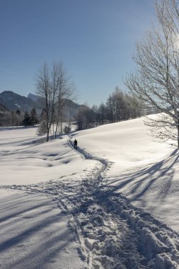 Kışın güneşli bir günde Alpler'de güzel bir göl üzerinde pastoral bir iniş sahne manzara manzara. 