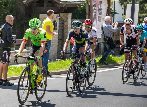 Bormio Italia Mayo 2017 Gorup Ciclistas Profesionales Pasa Por Centro — Foto de Stock