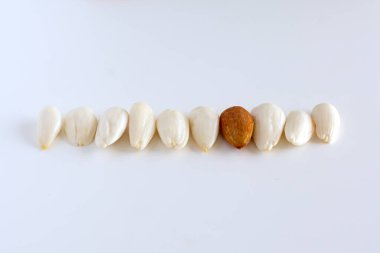 Sıra, beyaz arka planda soyulmuş genç badem çizgisi, izole edilmiş, fındık antioksidan