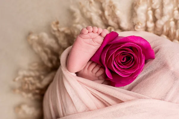 Voeten van de pasgeboren baby met roze roos bloem, Moederdag — Stockfoto