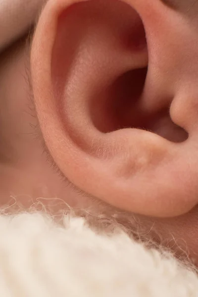 Oído y pelo del bebé recién nacido, macro, primer plano, cuidado materno, amor y abrazos familiares, ternura — Foto de Stock