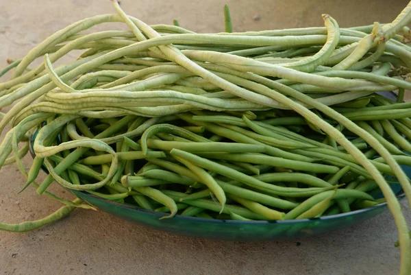 Green beans is raw, harvested on wooden background. legumes, vegetarianism and gardening — Stock Photo, Image