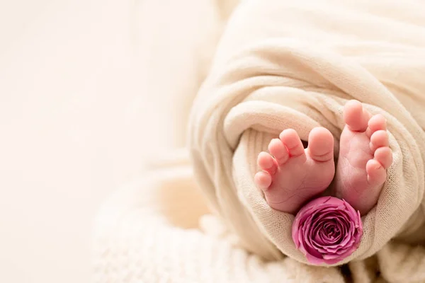Щасливий день матері. ноги новонародженої дитини з рожевою квіткою троянд — стокове фото