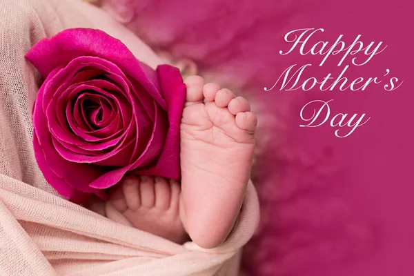Boldog anyák napját! láb az újszülött baba rózsaszín rózsa virág — Stock Fotó