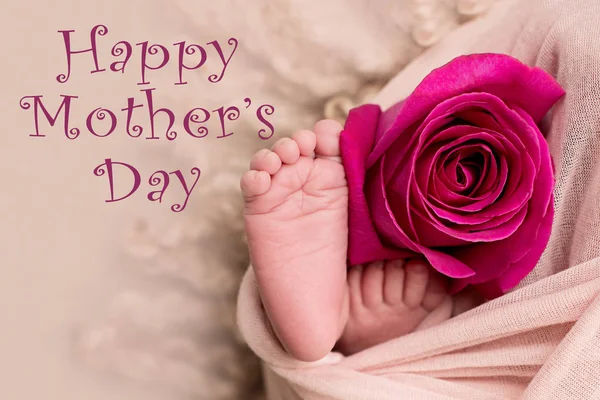 Boldog anyák napját! láb az újszülött baba rózsaszín rózsa virág — Stock Fotó
