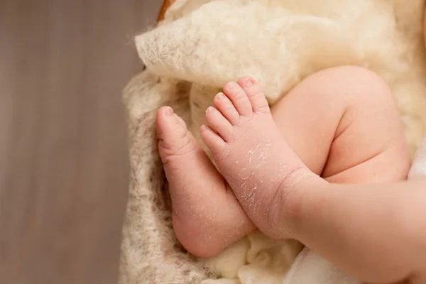 Foot of the newborn baby, fingers, copy space — Stock Photo, Image