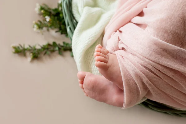Pies del bebé recién nacido con flor, dedos en el pie, cuidado materno, amor y abrazos familiares, ternura —  Fotos de Stock