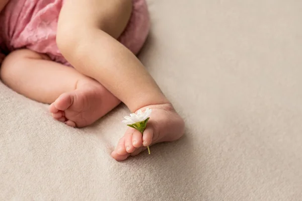 Füße des Neugeborenen mit Blüte, Finger am Fuß, mütterliche Pflege, Liebe und Umarmungen in der Familie, Zärtlichkeit — Stockfoto