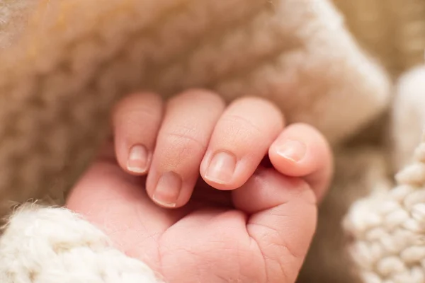 Pies del bebé recién nacido con flor, dedos en el pie, cuidado materno, amor y abrazos familiares, ternura — Foto de Stock