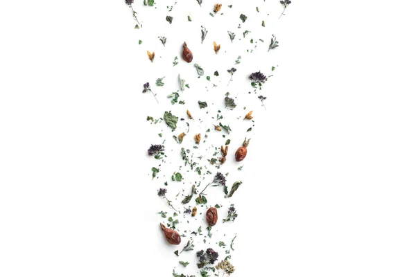 Травяной чай, сухие растения и цветы, орегано и мятный витаминный напиток в льняном мешке, изолировать, место для текста, копировать пространство . — стоковое фото