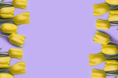 Sarı laleler mor renkte, menekşe arkaplan, kopyalama alanı, metin için yer