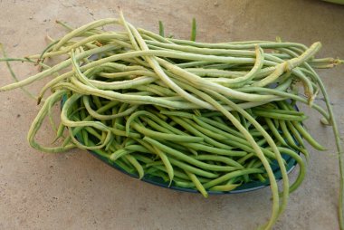 yeşil fasulye ham, ahşap arka plan üzerinde hasat edilir. baklagiller, vejetaryenlik ve bahçe