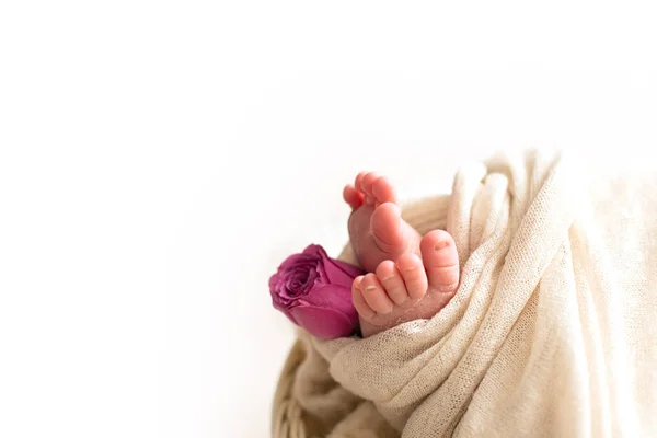 Happy Mother's day. feet of the newborn baby with pink rose flower — Stock Photo, Image