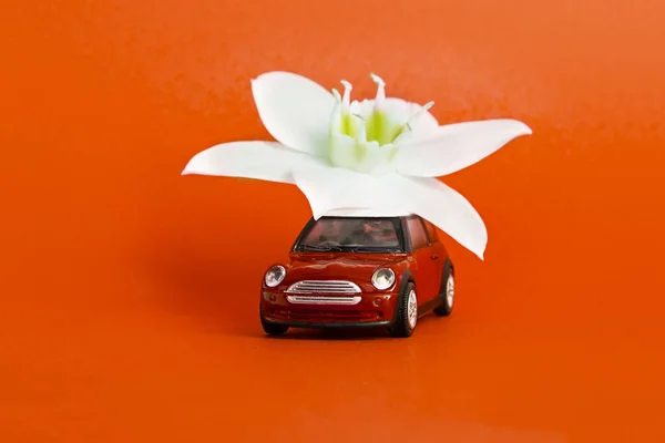 Orenburg, Russie, février 2020 : une voiture miniature livre une fleur blanche sur fond rouge. concept de livraison de fleurs. Journée internationale de la femme 8 mars, Saint-Valentin . — Photo