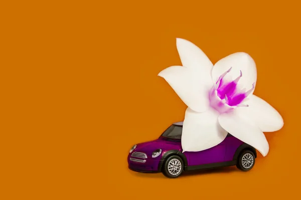 Orenburg, Russie, février 2020 : une voiture jouet rose livre une fleur blanche sur fond blu. concept de livraison de fleurs. Journée internationale de la femme 8 mars, Saint-Valentin . — Photo